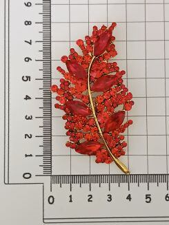 Czerwone pióro/liść - 2