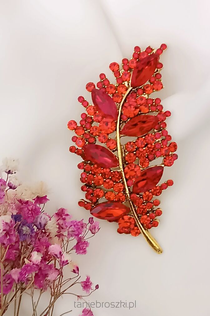 Czerwone pióro/liść