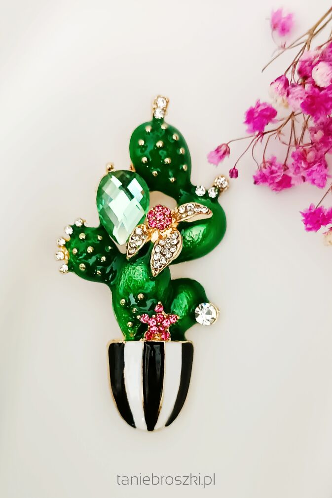 Super broszka kaktus