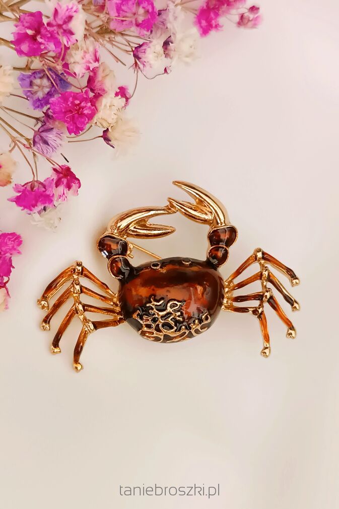 Śliczny brązowy krab