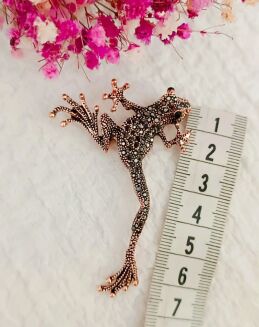 Żaba w miedzianej kolorystyce - 3