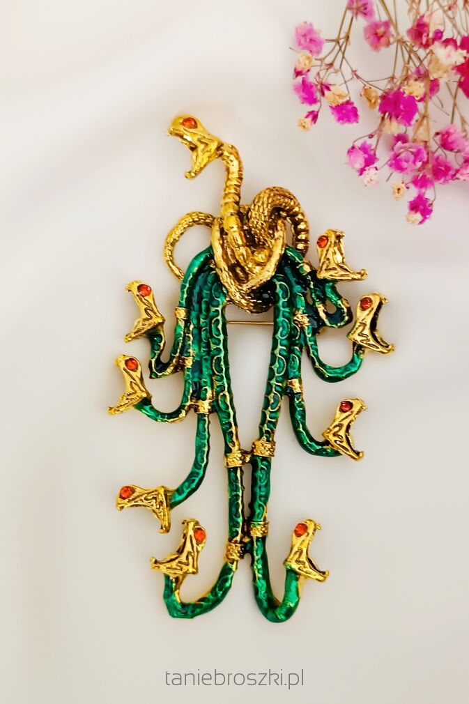 Piękna duża meduza