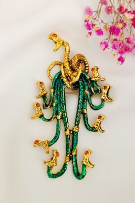 Piękna duża meduza