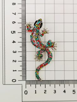 Kolorowa jaszczurka - 3