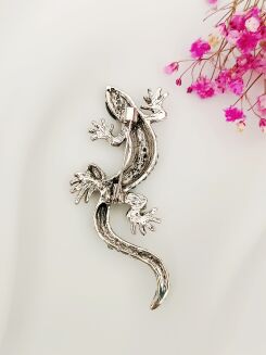 Kolorowa jaszczurka - 2