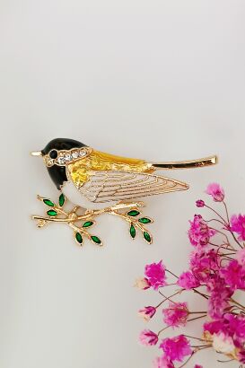 Śliczna sikorka bogatka