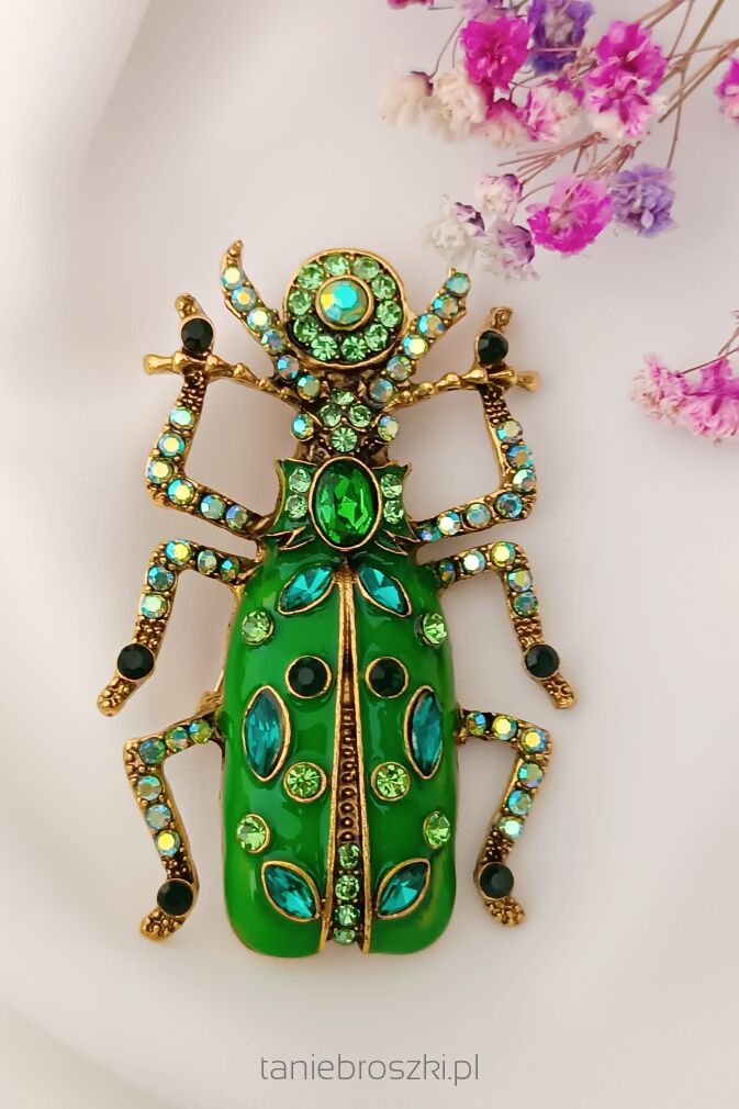 Duży zielony chrząszcz