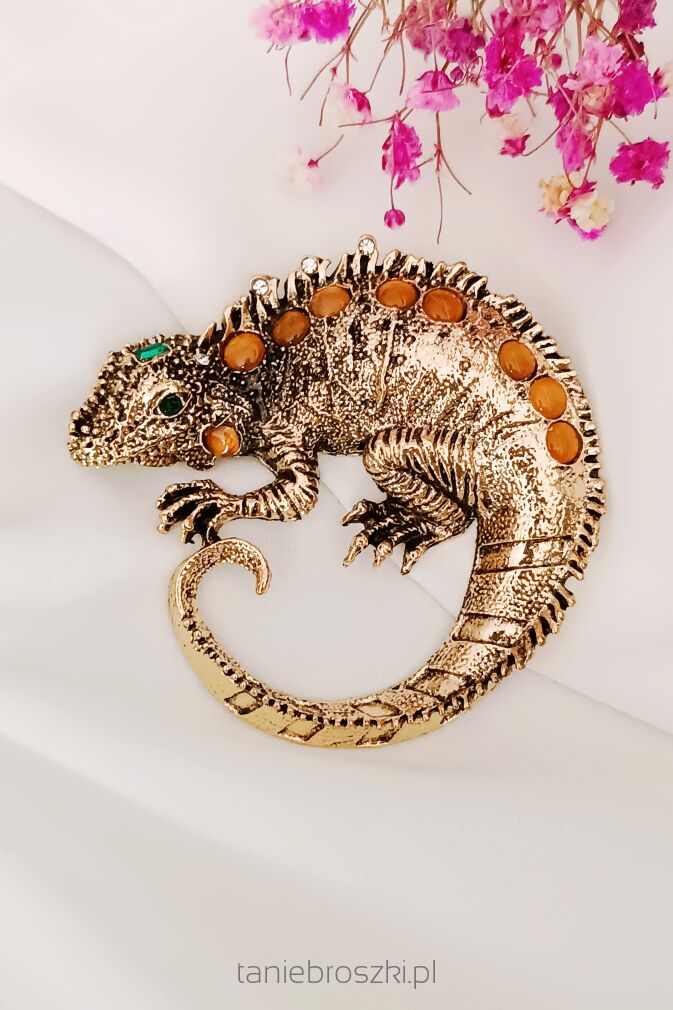 Piękny duży kameleon