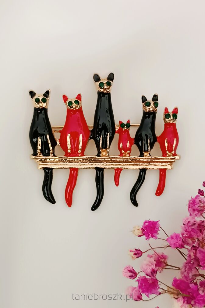 Czerwono czarne koty